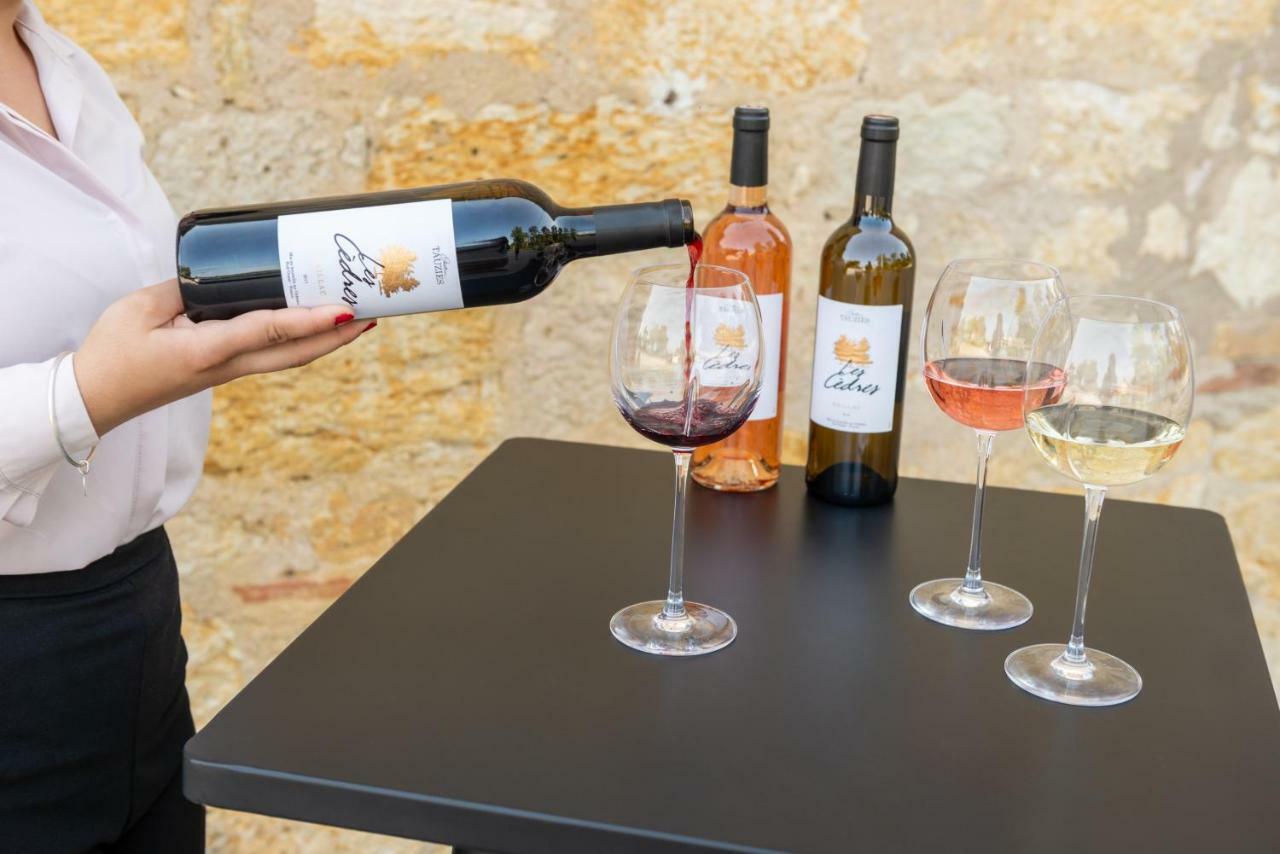 Chateau De Tauzies, The Originals Relais Gaillac Buitenkant foto